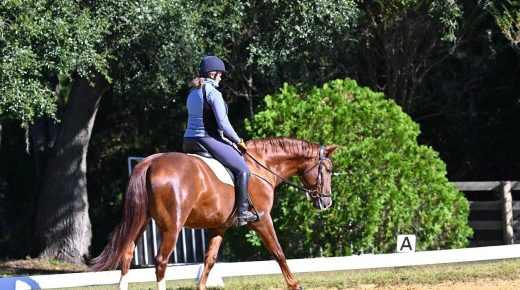 Training in the Right Way: Dressage Training Nuggets