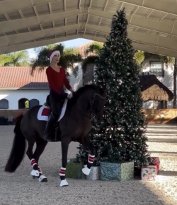 Tuesday Video: Christmas Dressage