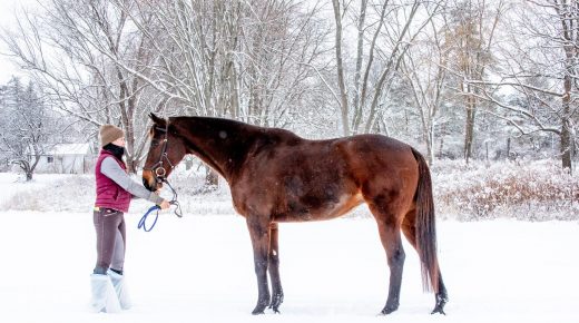 Thoroughbred Logic, Presented by Kentucky Performance Products: Internet Karens and Behind the Vertical
