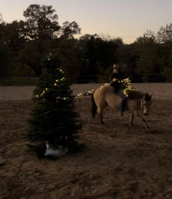 Friday Video: Tree Decorating