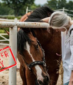 Mythbuster Monday: Holiday Schedule Changes Don’t Impact Your Horse