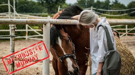 Mythbuster Monday: Holiday Schedule Changes Don’t Impact Your Horse