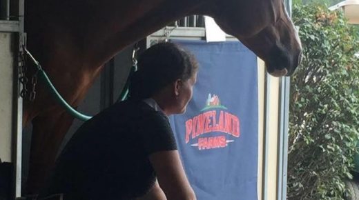 Training in the Right Way: Habits and Sports Psychology