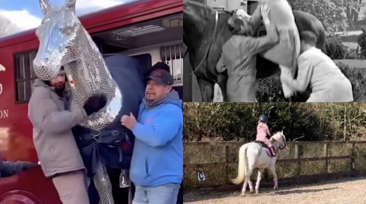 HN Year-In-Review: Top 5 Tuesday Videos