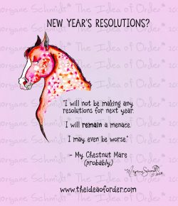The Idea of Order: New Years Resolutions, Mare Edition