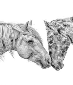 Reader Photo Challenge: 2025 Round-Up