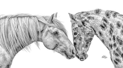 Reader Photo Challenge: 2025 Round-Up