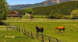 Fantasy Farm Friday: Ninemile Valley Ranch