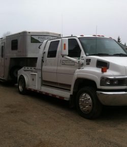 Training in the Right Way: Set Yourself Up for Success Wintering in Florida