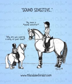 The Idea of Order: Who’s Sound Sensitive?