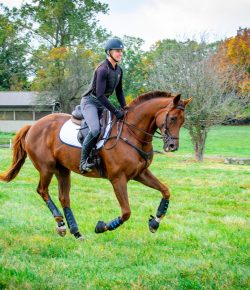 Thoroughbred Logic, Presented by Kentucky Performance Products: Go Wide