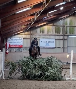 Tuesday Video: Repurposed Christmas Trees