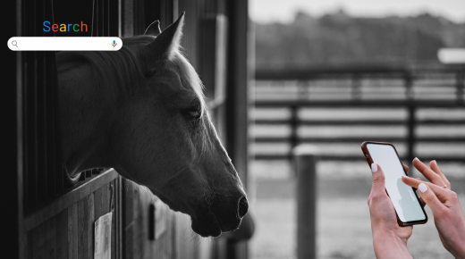 6 Things Your Vet Wishes You’d Stop Googling at 2 a.m.