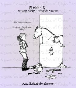 The Idea of Order: What’s YOUR Horse’s Favorite Chew Toy?