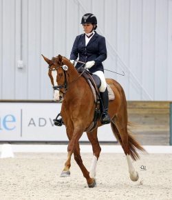 Training in the Right Way: Test Riding Before a Competition