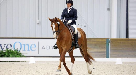 Training in the Right Way: Test Riding Before a Competition