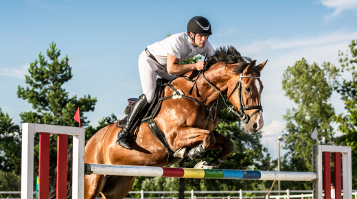 5 Key Ways Herbal Support Helps Your Horse Perform Better