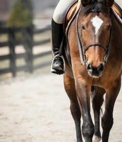 The Sin of Riding While Amateur