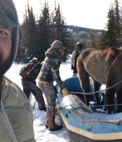 #ICYMI: A Horse Missing for Seven Months Was Found Alive (and Rescued!) From Wyoming’s Wind River Mountains