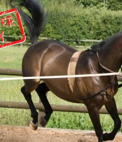 Mythbuster Monday: You Can Break A Bad Habit With More Intense Training