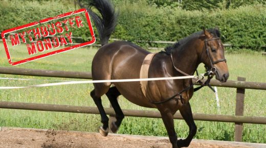 Mythbuster Monday: You Can Break A Bad Habit With More Intense Training