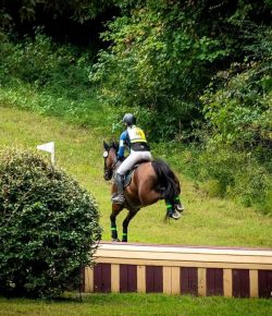 Thoroughbred Logic, Presented by Kentucky Performance Products: When They Jump the Fence