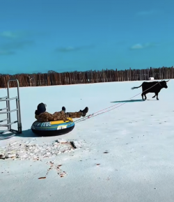 Thursday Video: Snow Day Fun…