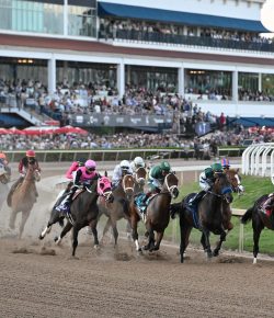 A Weekend to Remember: Eclipse Awards and Pegasus World Cup Deliver High Stakes in South Florida