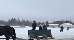 Tuesday Video: Dashing Through The Snow