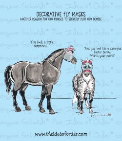 The Idea of Order: Decorative Fly Masks