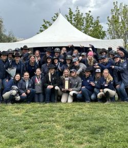 Eight Years, Two Titles, One Decision: UC Davis Equestrian’s Fight Isn’t Over