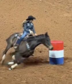 Tuesday Video: Kassie Mowry and Jarvis Break Arena Record in Fort Worth