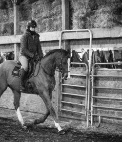 Thoroughbred Logic, Presented by Kentucky Performance Products: Keep It Simple (Stupid)