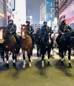 From the Frontier to the City Streets: How Buffalo Soldier Horsemanship Lives On in Modern Mounted Units