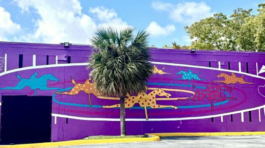 I Spy Horses: Hollywood, Florida