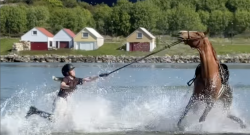 ‘Oh Crap’ Monday: Sorry for the Late Reply…