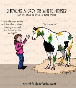 The Idea of Order: Grey Horse Show Prep