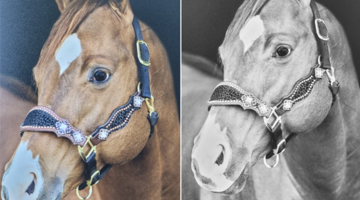 Remembering Comp’s Bucket of Cash: A Rising Star Gone Too Soon