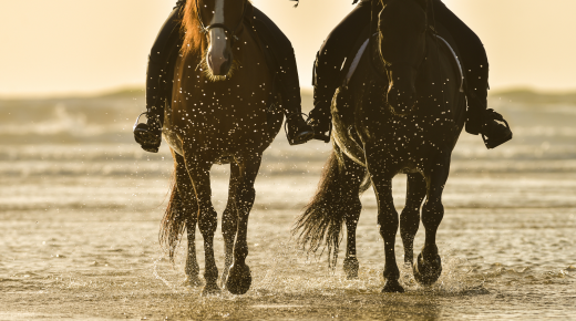 Bone Density and Conditioning, From Kentucky Performance Products