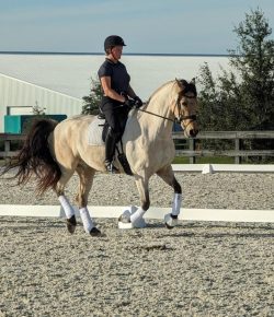 Training in the Right Way: It’s all About the Process