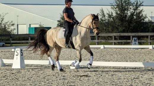 Training in the Right Way: It’s all About the Process