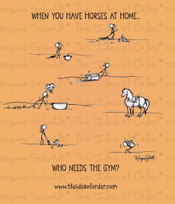 The Idea of Order: Horses at Home