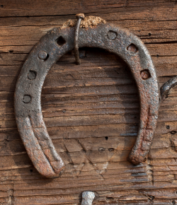 Friday the 13th at the Barn: 9 Horse Superstitions That Might (or Might Not) Doom Your Ride