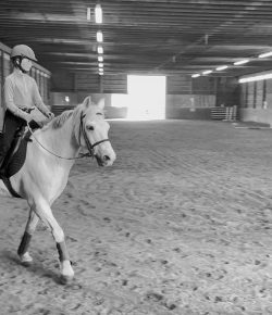 The Horses Who Taught Us: What We Owe Our Lesson Horses