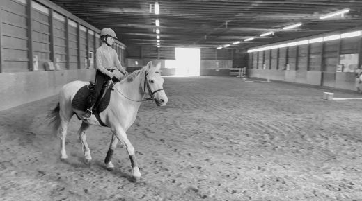 The Horses Who Taught Us: What We Owe Our Lesson Horses