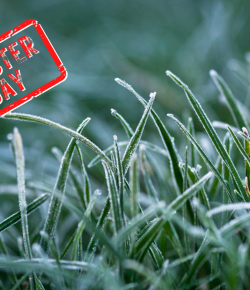 Mythbuster Monday: Horses Should Be Dewormed After the Final Frost of Spring