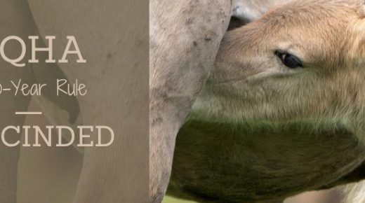 AQHA Drops the Two-Year Rule, Reshaping the Future of Quarter Horse Breeding