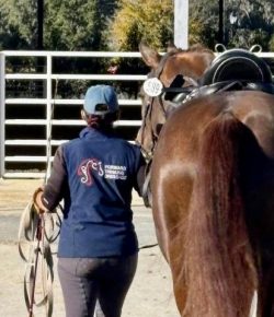 Training in the Right Way: Unpopular Opinion — You Shouldn’t Ride Horses You’re Scared Of