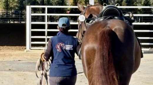 Training in the Right Way: Unpopular Opinion — You Shouldn’t Ride Horses You’re Sacred Of