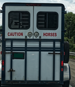Mythbuster Monday: Horse Trailers Under a Certain GVWR Do Not Need State Inspection